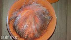 Orignal Gidar singhi 100% orignal.