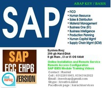 Sap Ides Installation Bulk/Group
