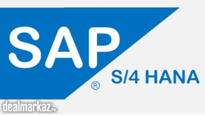 SAP S4 Hana Online Access