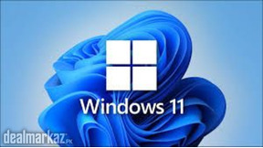 Windows and softwares installation