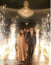 Electric Anar For Wedding Cool Fire Entry