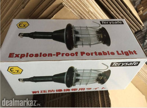 Explosion-Proof Portable Light