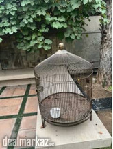 New Golden Round Cage without Hanger for all parrots or pet birds
