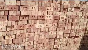 Special Bricks/25