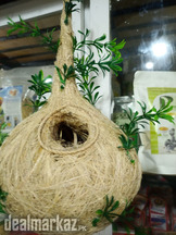 Hanging Birds nest pair for pet birds or decorations
