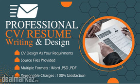 CV Writer / CV Designer (Professional)