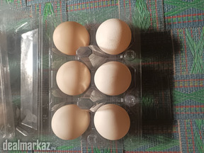 Pure Desi egg for sale Rs 600 per dozen