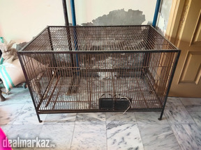 Birds Cage for Sale