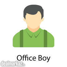 Office Boy Required