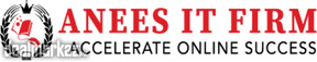 SEO Course - Anees IT Frim