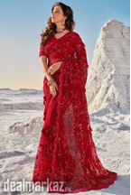Stylish Indian Saree
