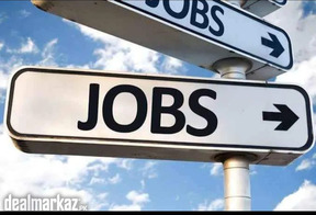 Urgently Required staff for office management