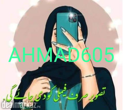 Girl 27 Year old Syed Sunni Educated looking Proposal
