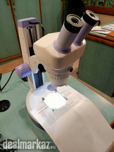 Stereo Microscope