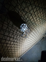 Owl barn I caught it but don't know how to deal with it urgent sale ..