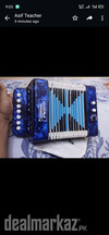 First Act Discovery Junior Accordion in Best Condition to Play with