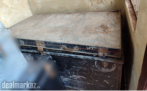 Iron trunk ( Paiti)