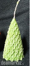 Christmas Trees Scented Candles