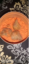 Gedhar singhi for sell