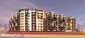 Rabia Dream View