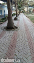 Banumukhtar Products (Pvt) Ltd