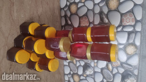 Honey (Shahad) BerryJangli