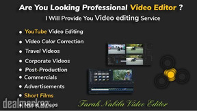 I will edit your videos professionaly