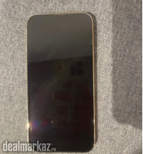 iPhone 13 Pro Max 256