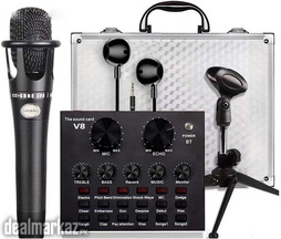 ENCORE 300 MICROPHONE V8 Multifunctional Live Intelligent Volume Adjus