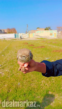 owl baby ican sale