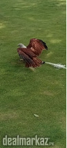 Sea Eagle ???? I'm selling
