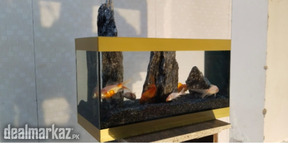 Jambo Jar Fish Tank