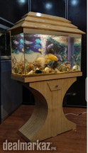 Wooden Aquarium