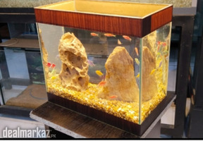 Tetra's Home Fish Tank