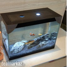 Fancy Mini Tank