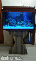 Red & Brown Aquarium