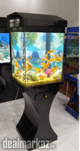 Fancy Wooden Fishtank
