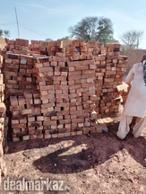 Saaf khangar special 25