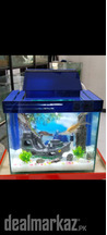 Mini Blue Fishtank