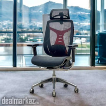 Aura executive chair Imported Office and gaming chair