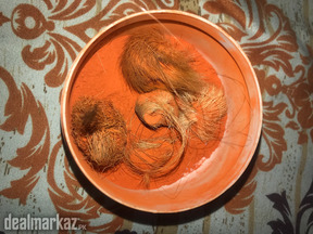 Gider Singhi 1 pair 68 years old most expensive animal