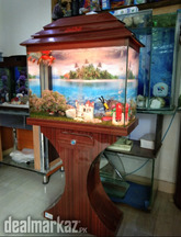 Beautiful Fish Aquarium