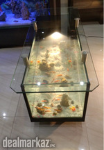 Coffee Table Aquarium
