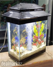 DHC Baby Aquarium