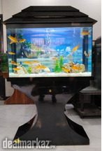 Stylish Black Aquarium