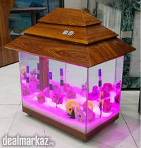Wooden Beauty Fish tank