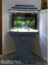 Aquarium / Fishtank