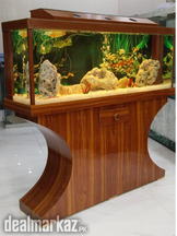DHC New Aquarium