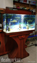 Fancy Aquarium with wooden stand