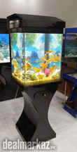 Wooden Aquarium Piano Top